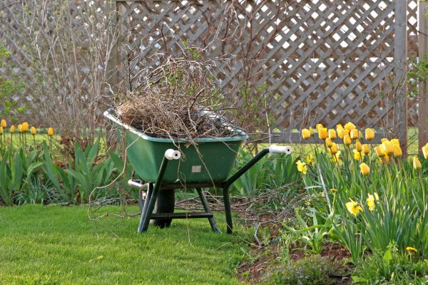 Flower Bed Cleanup Service in Saint Peters