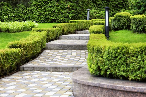 Backyard Remodeling in Saint Peters