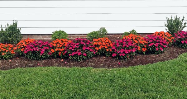 Flower Bed Weeding Service in Saint Peters