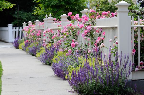 Garden Handyman Service in Saint Peters