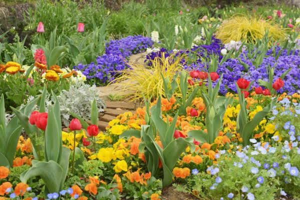 Garden Renovation in Saint Peters