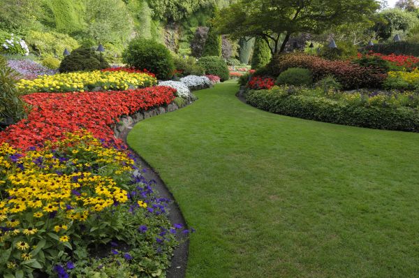 Landscaping Maintenance in Saint Peters
