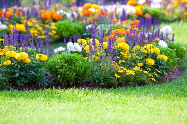 Garden Installation in Saint Peters