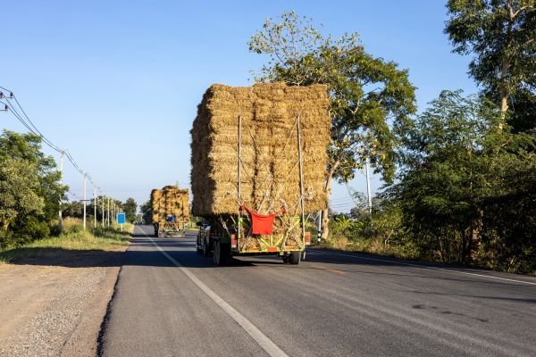Pine Straw Delivery in Saint Peters