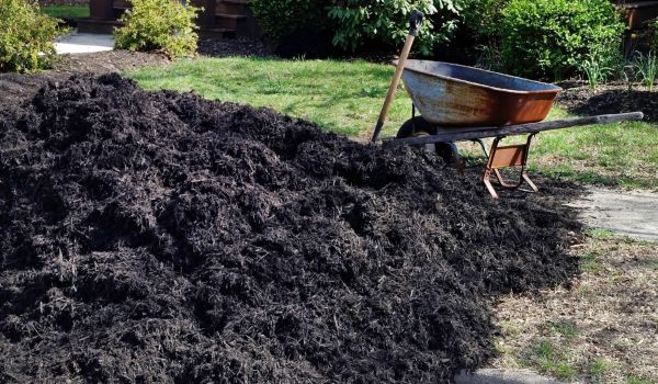 Black Mulch Delivery in Saint Peters