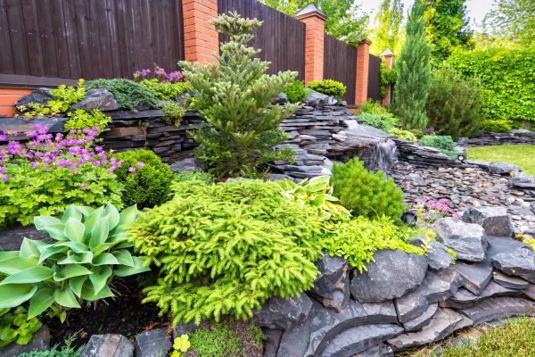 Landscape Remodeling in Saint Peters