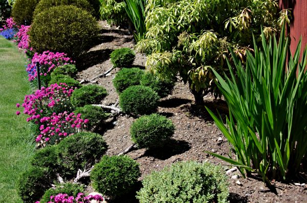Residential Gardening in Saint Peters