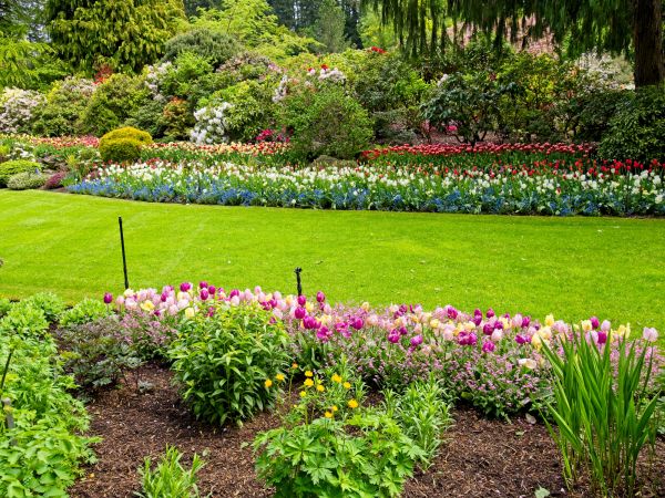 Residential Landscape Design in Saint Peters