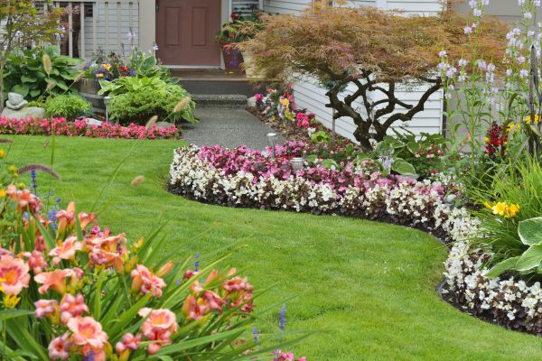 Perennial Landscaping in Saint Peters