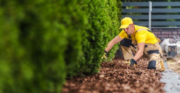 Cypress Mulch Installation in Saint Peters