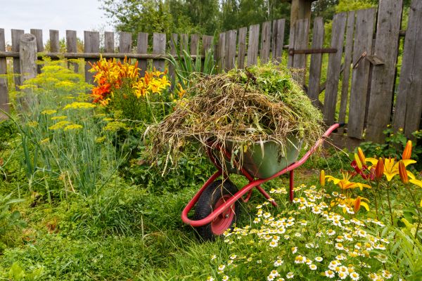 Garden Cleanup Service in Saint Peters