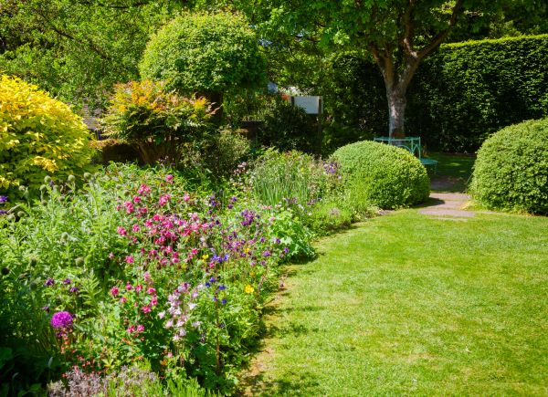 Yard Landscaping Service in Saint Peters