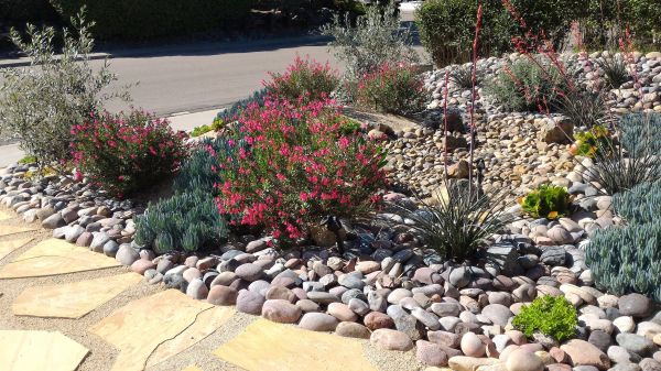 Xeriscape Landscaping in Saint Peters