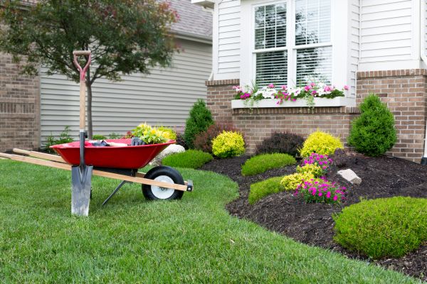 Tree And Shrub Planting in Saint Peters
