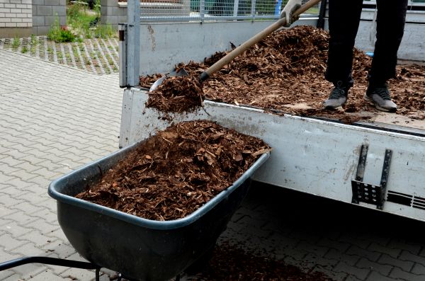 Landscape Mulch Delivery in Saint Peters