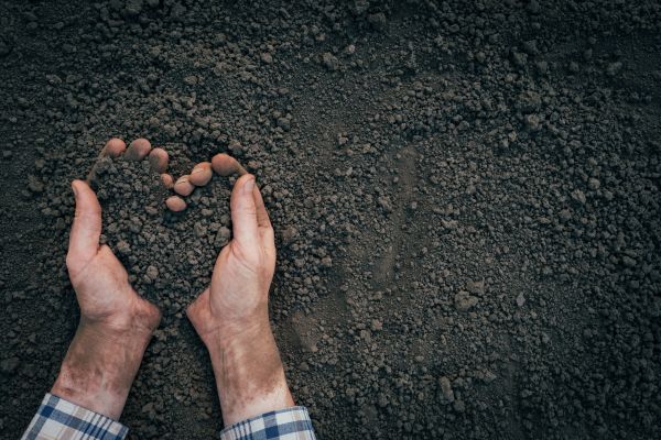 Soil Installation in Saint Peters