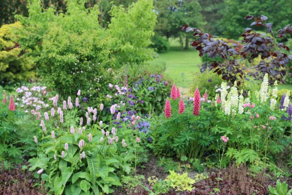 Flower Bed Planting in Saint Peters