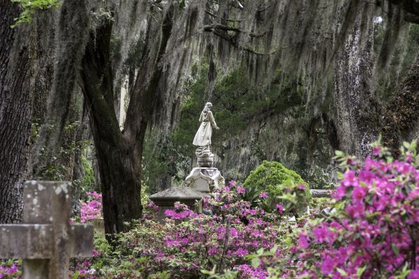 Cemetery Landscaping in Saint Peters