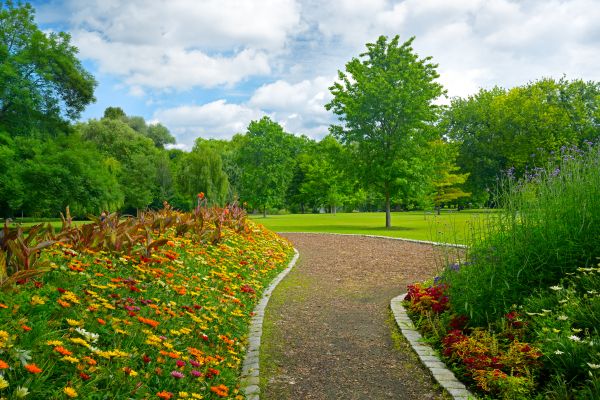 Park Landscaping in Saint Peters