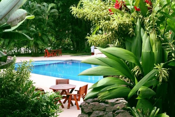 Tropical Garden Landscaping in Saint Peters