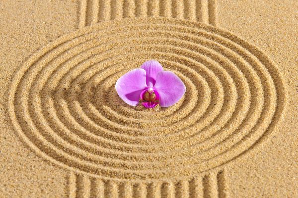 Sand Garden Landscaping in Saint Peters