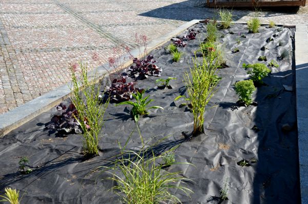 Landscape Fabric Installation in Saint Peters