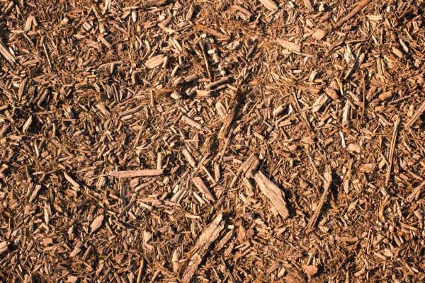 Wood Chips Removal in Saint Peters