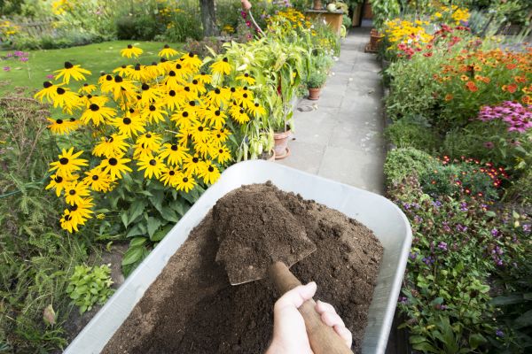 Topsoil Replacement in Saint Peters