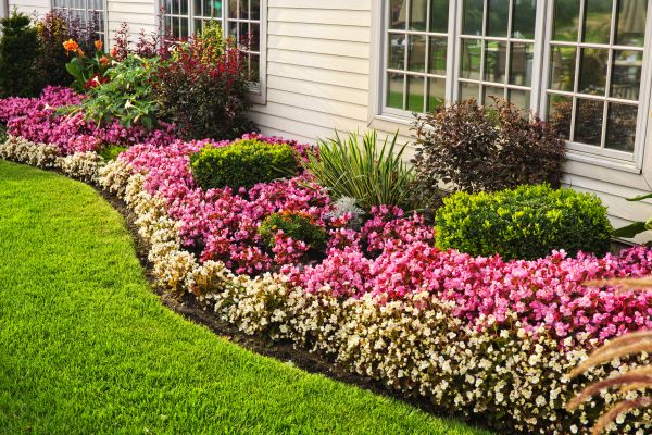 House Landscaping in Saint Peters