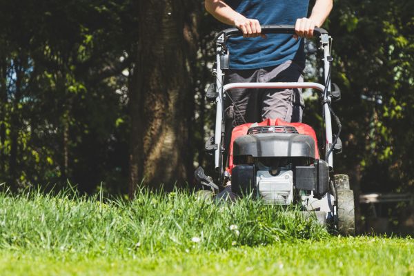 Garden Trimming Service in Saint Peters