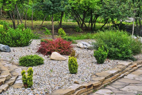 Hardscape Landscaping in Saint Peters