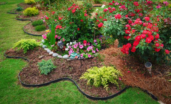 Floral Landscaping in Saint Peters