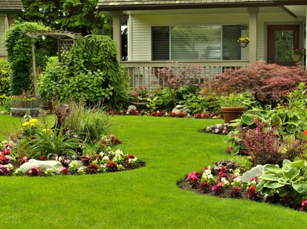 Flower Garden Planting in Saint Peters