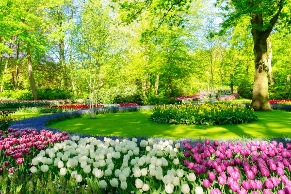 Flower Landscaping in Saint Peters