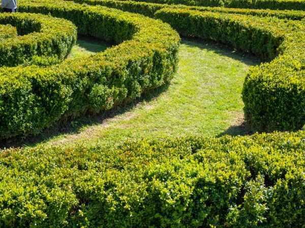 Bush Landscaping in Saint Peters