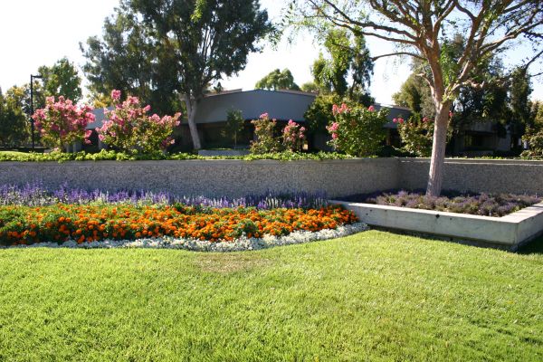Commercial Landscape Service in Saint Peters