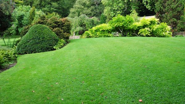 Commercial Landscape Design in Saint Peters