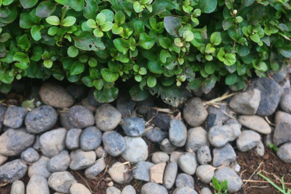 River Stone Installation in Saint Peters