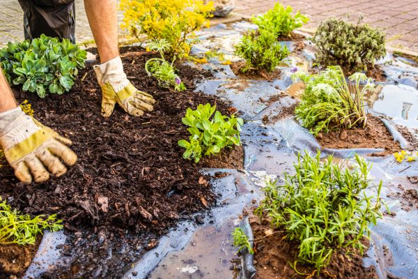 Mulch Fabric Installation in Saint Peters