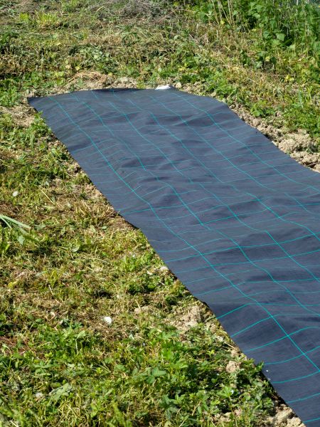 Weed Suppressant Installation in Saint Peters