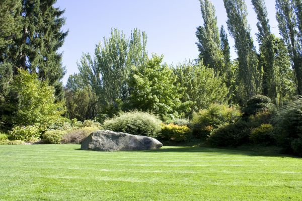 Yard Enlargement in Saint Peters