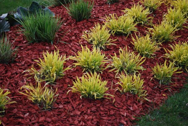 Red Mulch Installation in Saint Peters