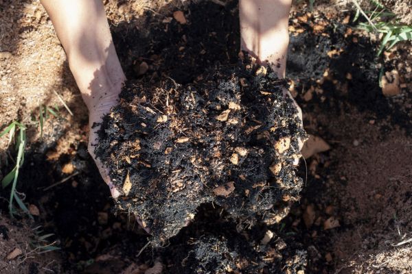 Organic Mulch Installation in Saint Peters