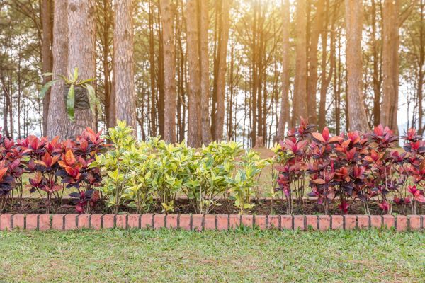 Small Garden Landscaping in Saint Peters