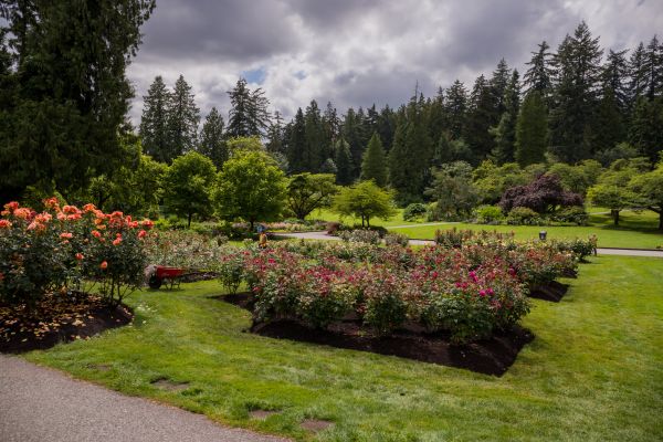 Flower Garden Landscaping in Saint Peters
