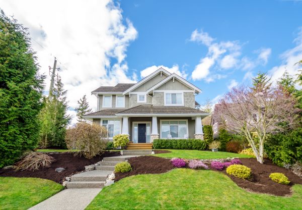 Landscaping Replacement in Saint Peters