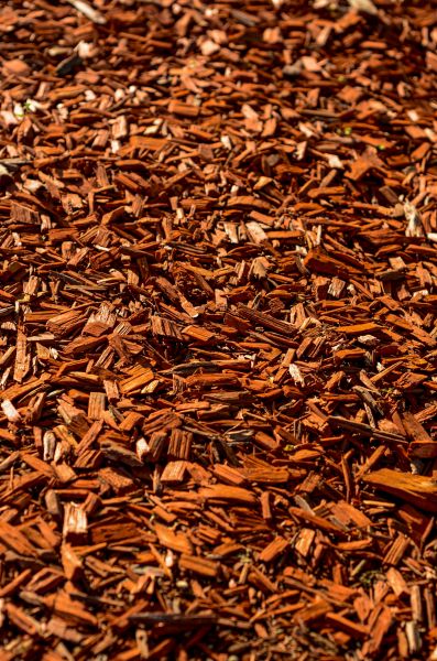 Cedar Mulch Spreading in Saint Peters