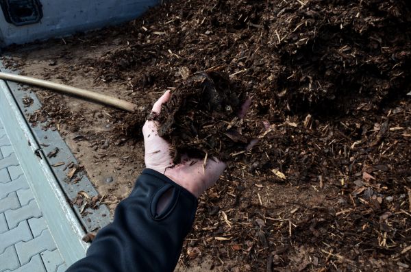 Condo Mulching in Saint Peters
