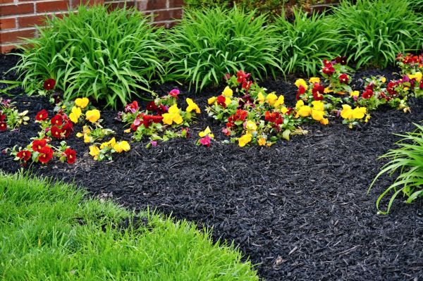 Apartment Mulching in Saint Peters
